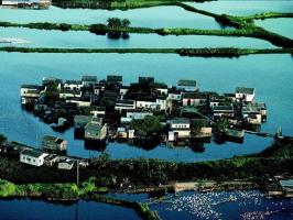 Tai O Fishing Village Landscape